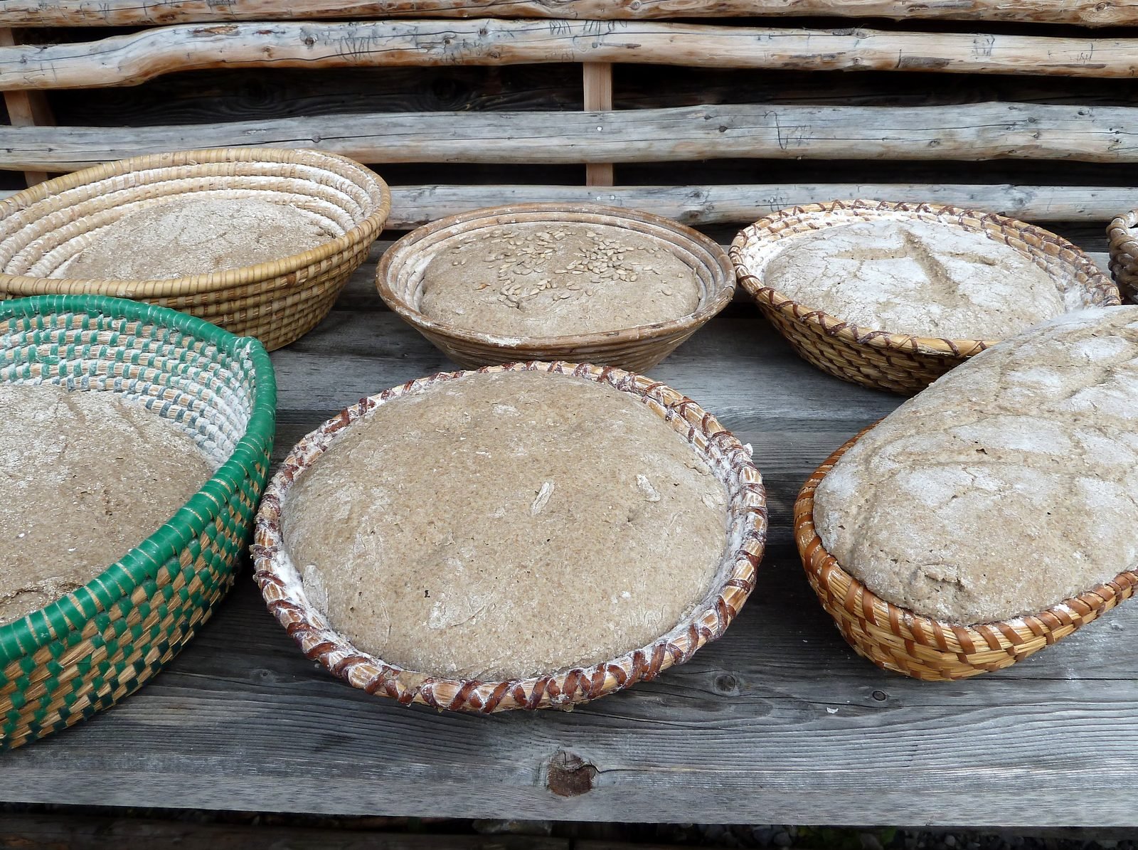 Rounds of dough rising in cane baskets